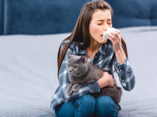 Vaincre l'allergie aux poils de chat, de chien grâce à l'hypnose: Témoignage
