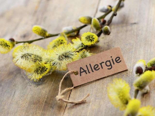 L'hypnose Permet Elle De Gerer Ou Contrer Les Allergies Animales Ou Saisonnieres